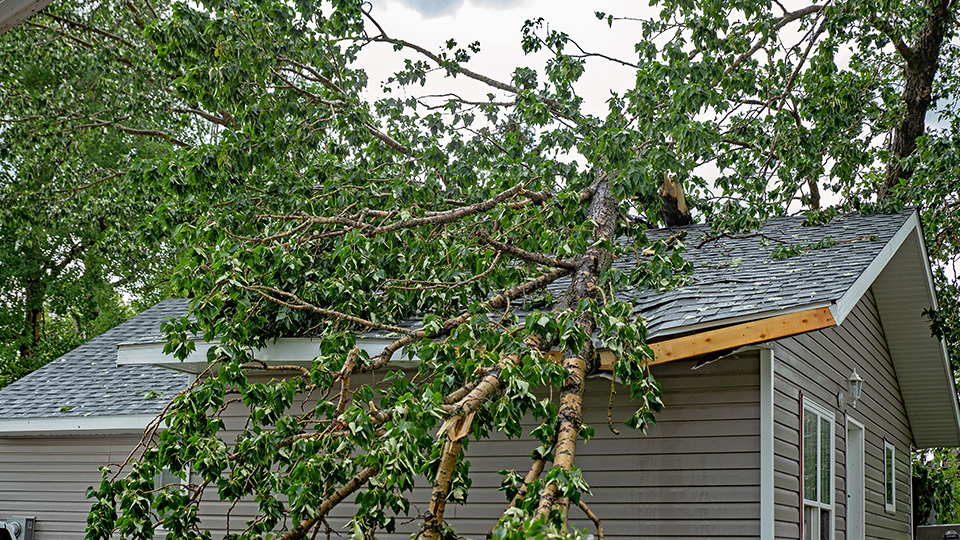 Storm damage repair project photo